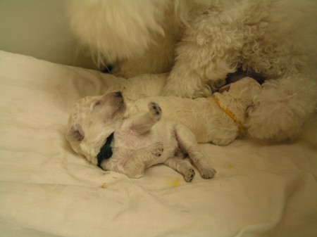 ... mám je všechna?